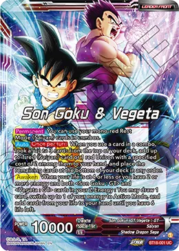 Son Goku & Vegeta
