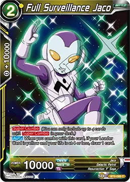 Full Surveillance Jaco