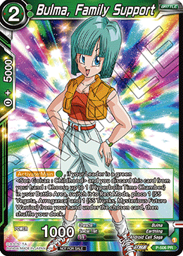 Bulma, Family Support