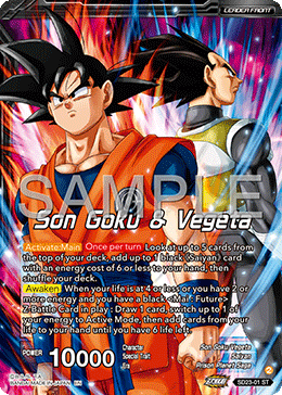 Son Goku & Vegeta