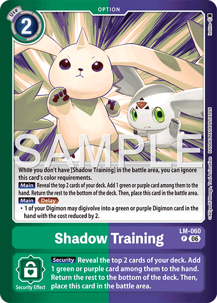 Shadow Training
