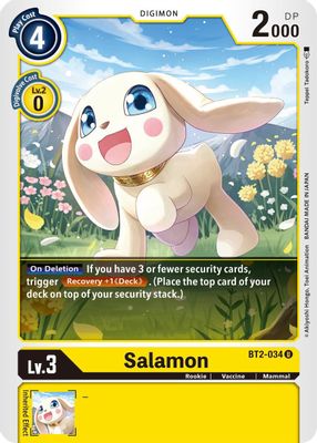 Salamon - BT2-034