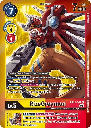 Promotional Cards