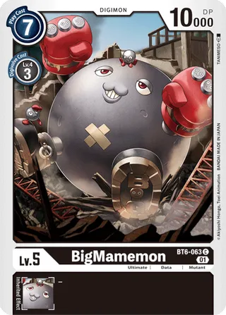 BT-06 Booster