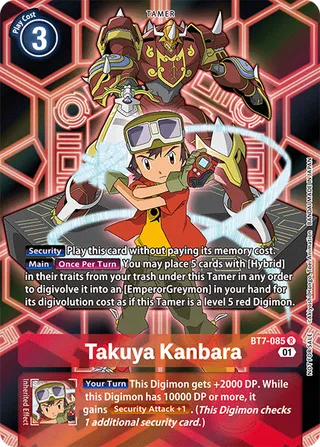 Promotional Cards
