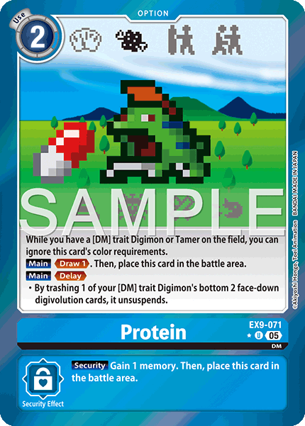 Protein