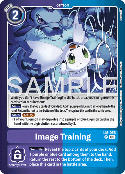 Image Training