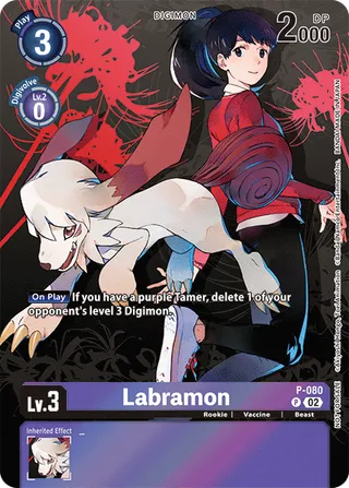 Promotional Cards
