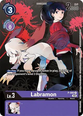 Promotional Cards