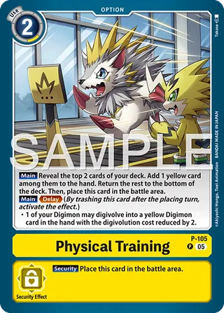 Physical Training