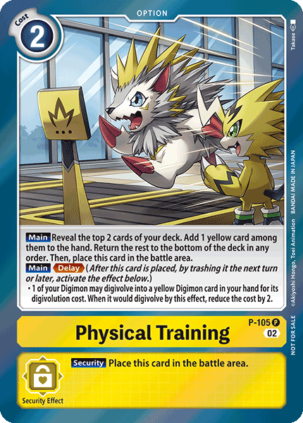 Physical Training