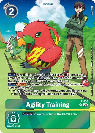 Agility Training