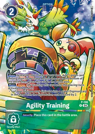 Agility Training