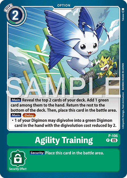 Agility Training