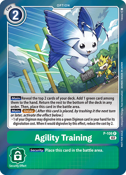 Agility Training