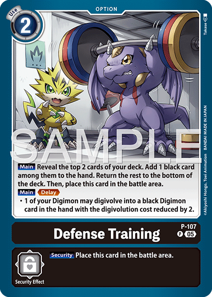 Defense Training