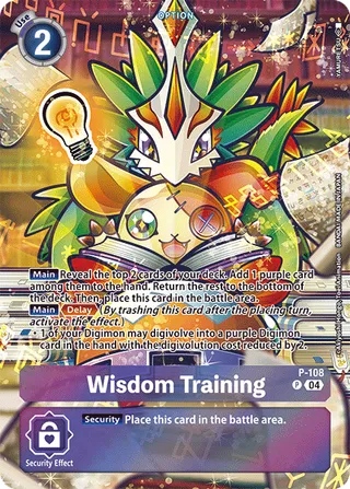 Wisdom Training
