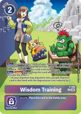 Wisdom Training