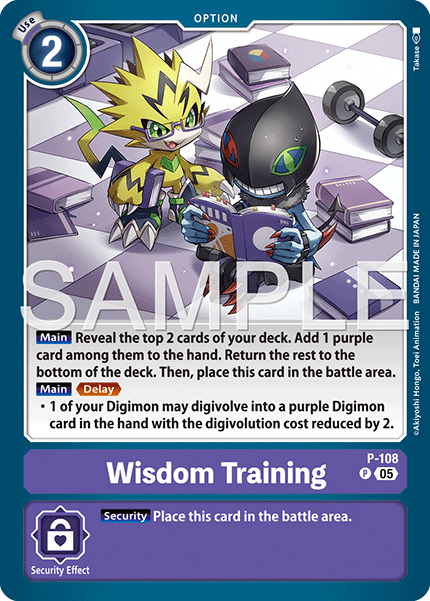 Wisdom Training