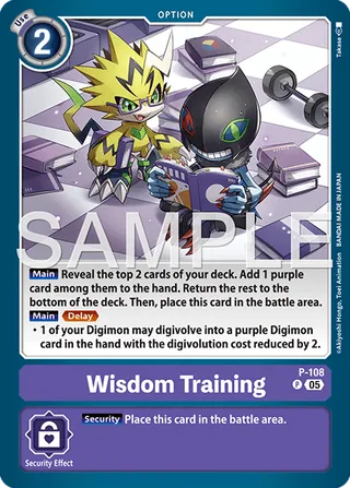 Wisdom Training