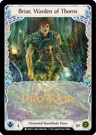 Worlds / Pro Tour Prize Cards