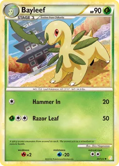 HeartGold & SoulSilver