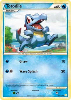 HeartGold & SoulSilver