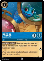 Pascal - Inquisitive Pet