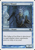 Fugitive Wizard