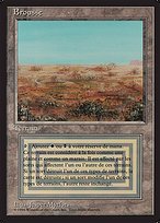 Scrubland