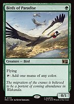 Birds of Paradise