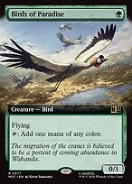 Birds of Paradise