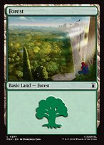 Forest