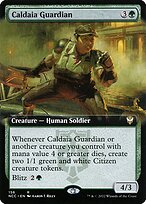 Caldaia Guardian