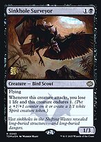 Sinkhole Surveyor