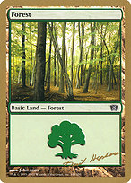 Forest