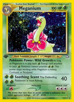 Neo Genesis