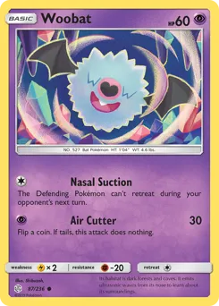 Cosmic Eclipse