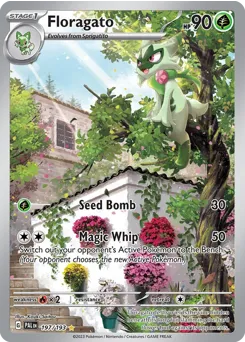 Paldea Evolved