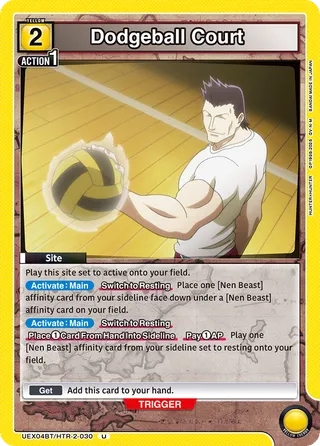 Dodgeball Court