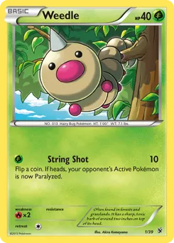 Kalos Starter Set