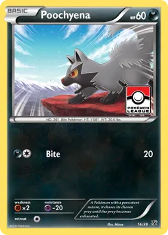 Kalos Starter Set
