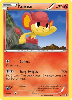 Kalos Starter Set
