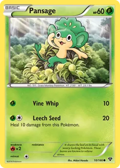 XY