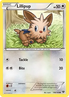 XY