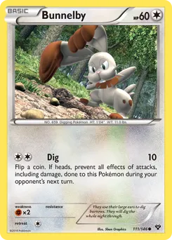 XY