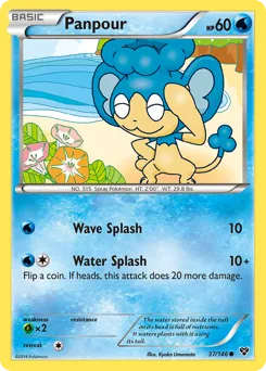 XY