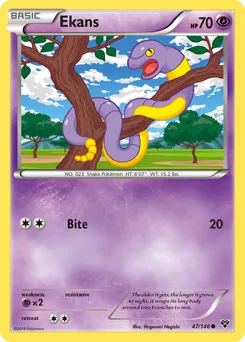 XY