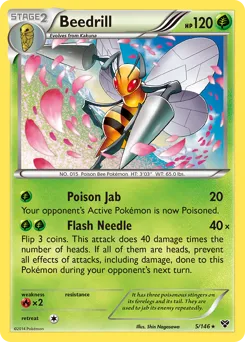 XY