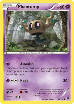 XY